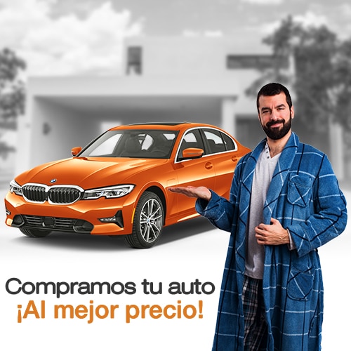 Grafica sitio web version movil 2 1